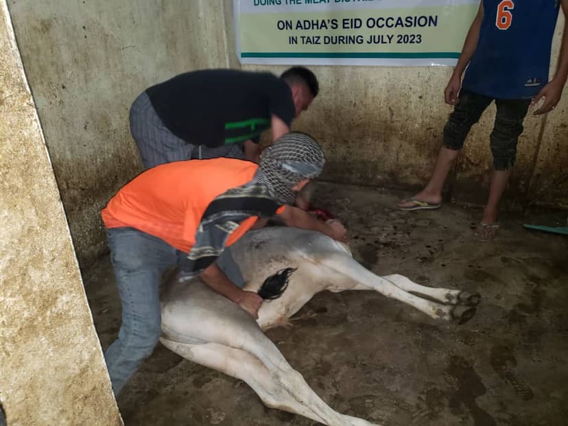 Meat Distribution During Eid al-Adha